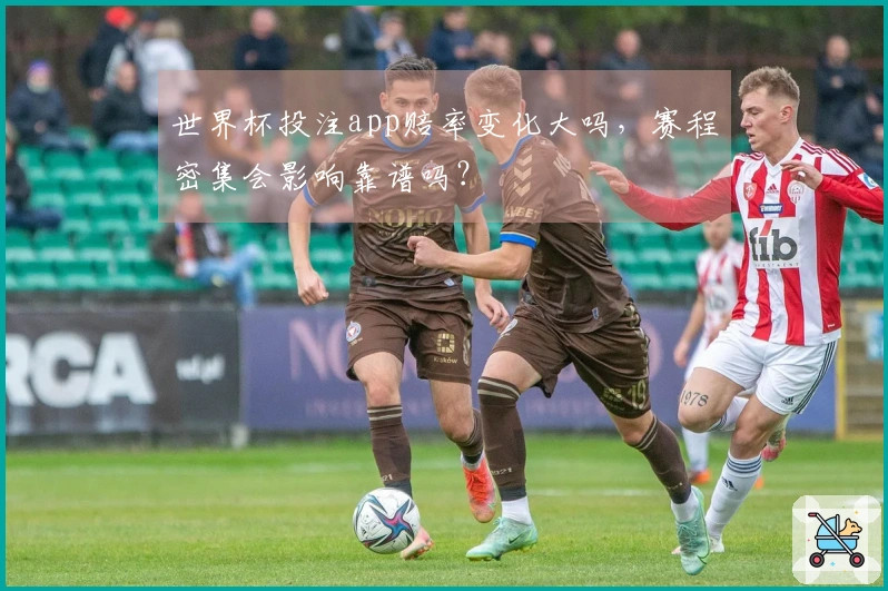 世界杯投注app赔率变化大吗,赛程密集会影响靠谱吗?