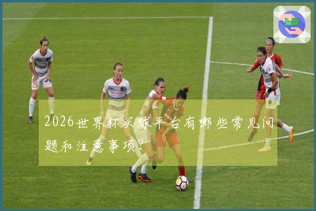 2026世界杯买球平台有哪些常见问题和注意事项?